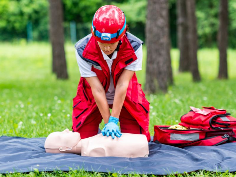 Forestry First Aid at Work Courses from LTS